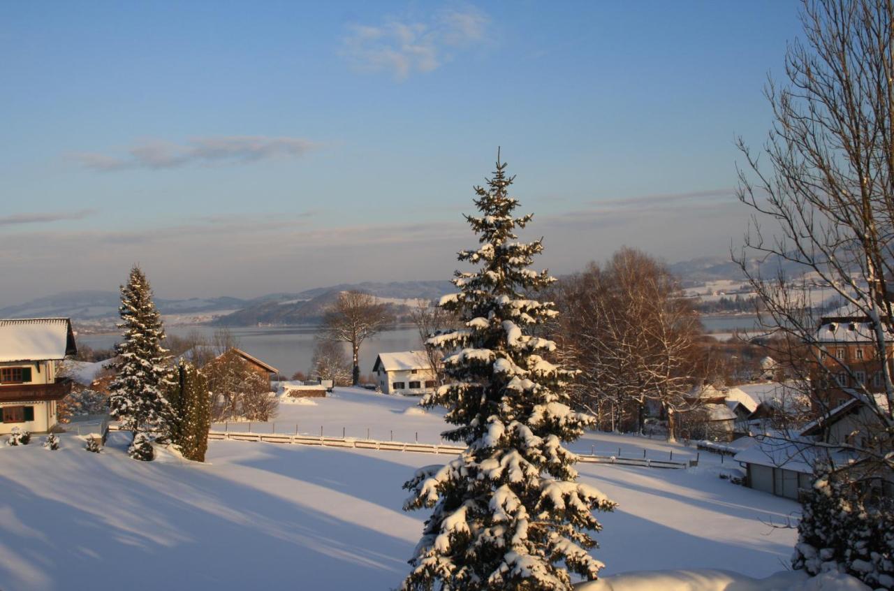 Gasthof Zur Seeburg Seekirchen am Wallersee Bagian luar foto